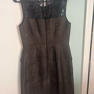 The Limited Black and Gold Textured Dress
